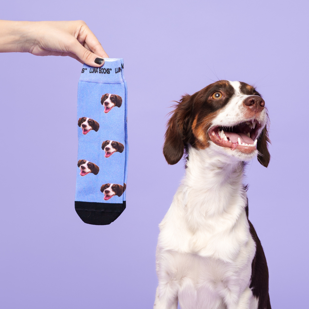 Luna Socks: Custom Pet Socks